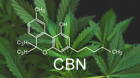 CBN: The Emerging Cannabinoid Revolutionizing Sleep and Wellness