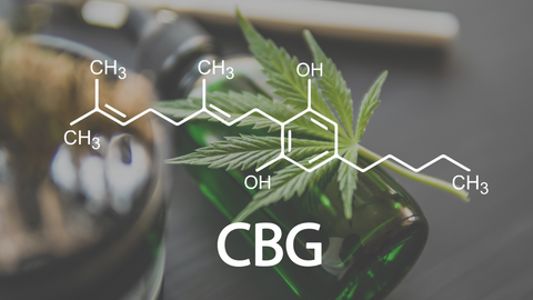 Exploring the Science of CBG: How It Works and What to Know